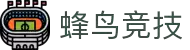 蜂鸟竞技 - 专业电子竞技平台